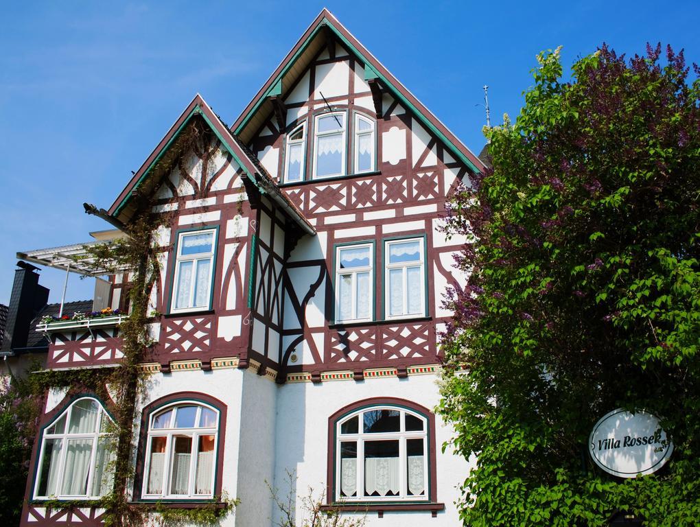 Hotel Villa Rossek Бад-Либенштайн Экстерьер фото