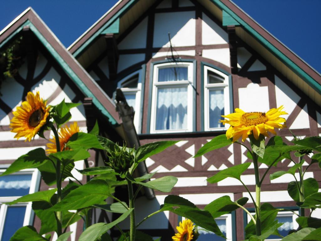 Hotel Villa Rossek Бад-Либенштайн Экстерьер фото